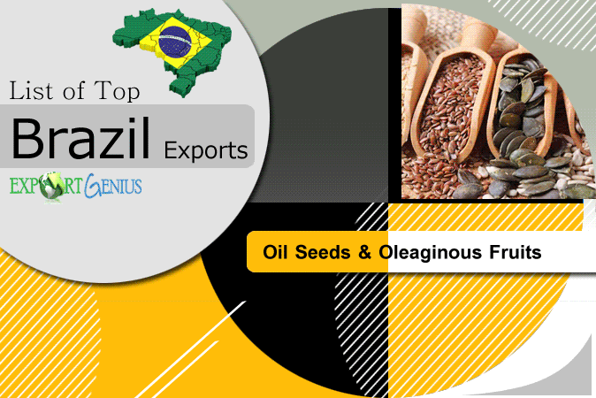 Major Export Items of Brazil