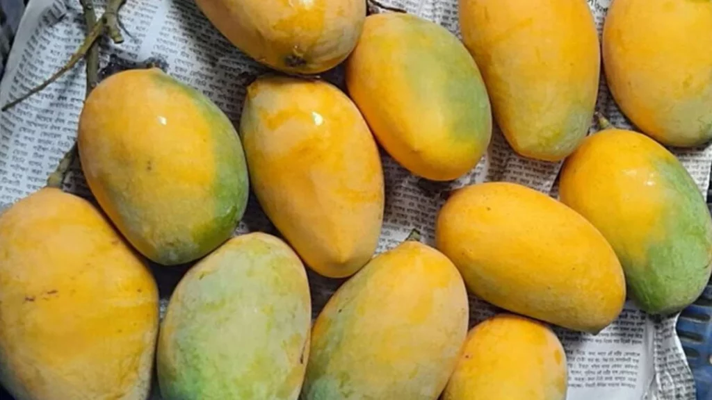 Bangladeshi Mango